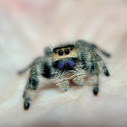 645152389 122261431436247699 5245099189628341643 n.jpg