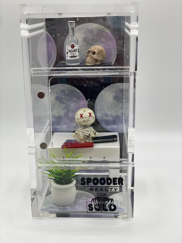 bad mummy spood house.jpg