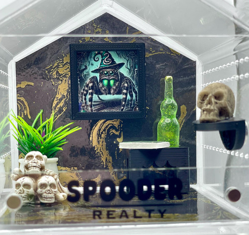 harry potter spood house.jpg