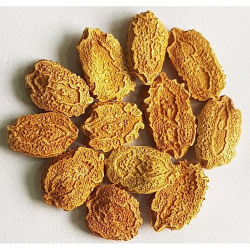 bitter gourd seeds buy online na.jpg