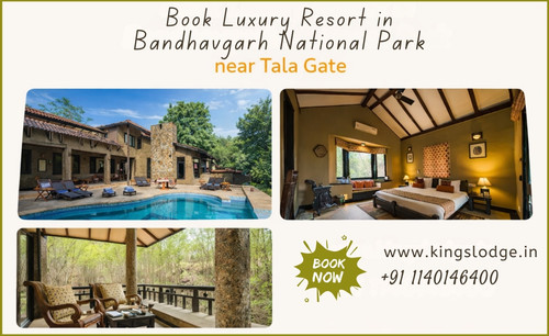 book luxury resort in bandhavgarh national park.jpg