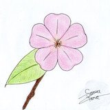 Flower, leaf and little branch.