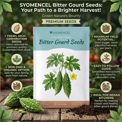 Gemini Generated Image huw5rshuw5rshuw5.jpg