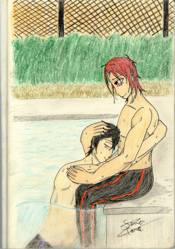 Swimming break.jpg