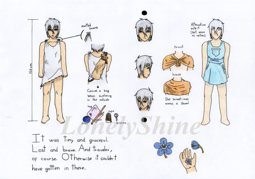 Character Sheet Ina.jpg