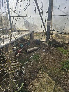 الخراب في مستوطنات شمال فلسطين المحتلة عقب سقوط صاروخ إيراني بشكل مباشر...