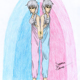 Gemini, the Twins