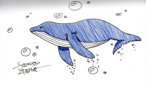 12 Whale (Inktober 2018).jpg