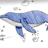 12 Whale (Inktober 2018)