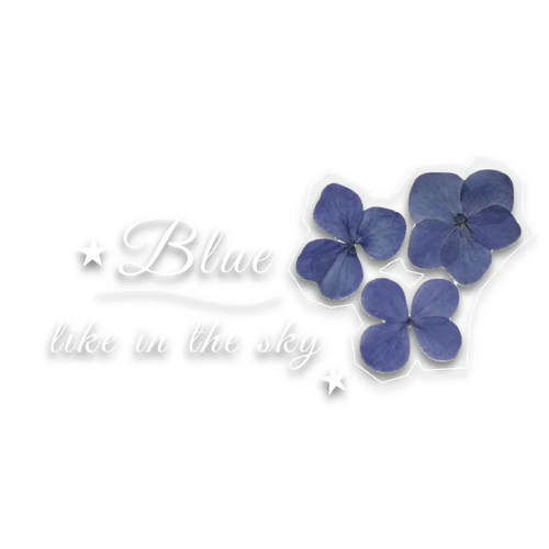 d79bea9b 6c93 46b3 818c 6bc449da15ab.png