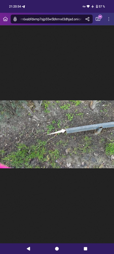 Screenshot 20260324 212055 Tor Browser.png