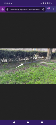 Screenshot 20260324 212051 Tor Browser.png