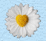 DAISIES.gif