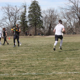 IMG 4446