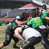 IMG 4539
