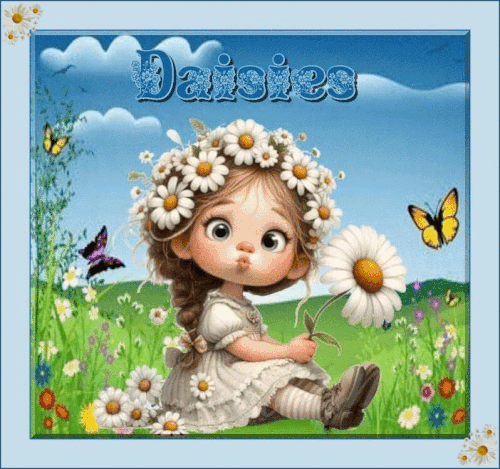 DAISIES.gif