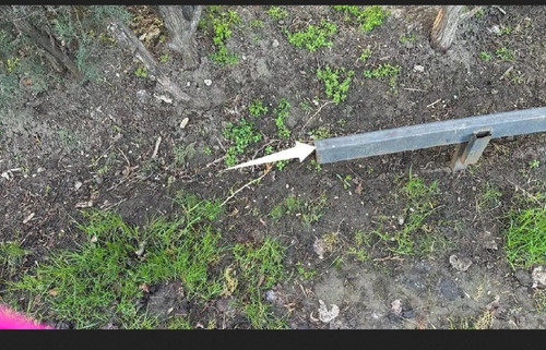 IMG 20260324 214631.jpg