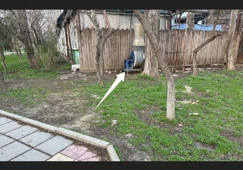 IMG 20260324 214839.jpg