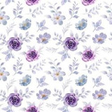 imageedit 7 8804603980