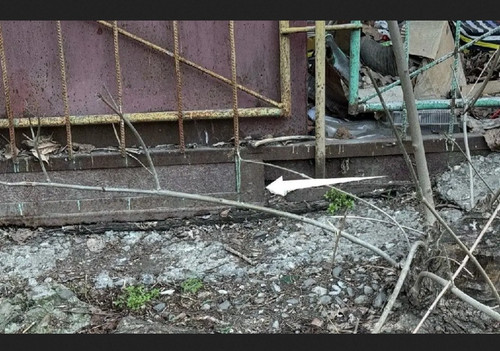 IMG 20260324 215212.jpg