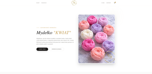 Tworzenie stron internetowych.png