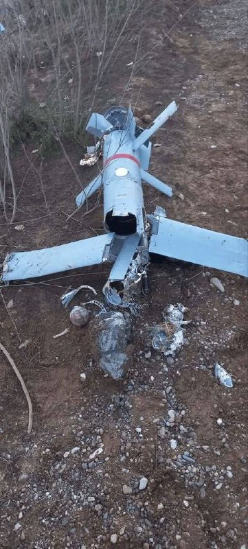 الحرس الثوري الإيراني يحيد متفجرات تحملها مسيرة انتحارية بعد إسقاطها في أجواء مدينة فيسيان....