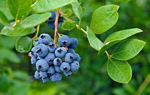 cf177af1 a4e7 49e2 8d1c e33fa8f897f2.jpg