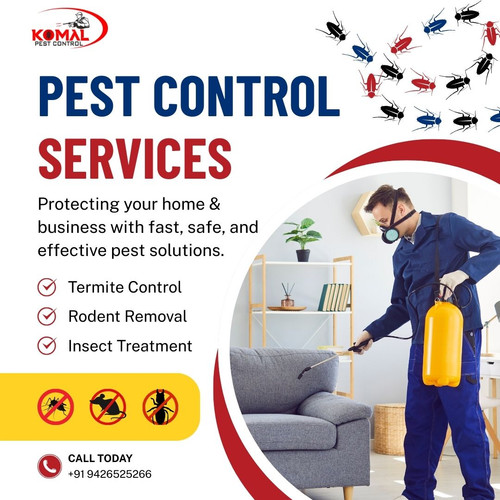 Expert Pest Control Services in Ahmedabad for Complete Protection.jpg