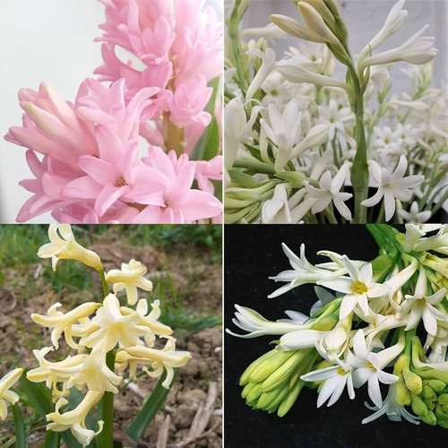 61K1qSFWs3L. AC UF1000,1000 QL80.jpg