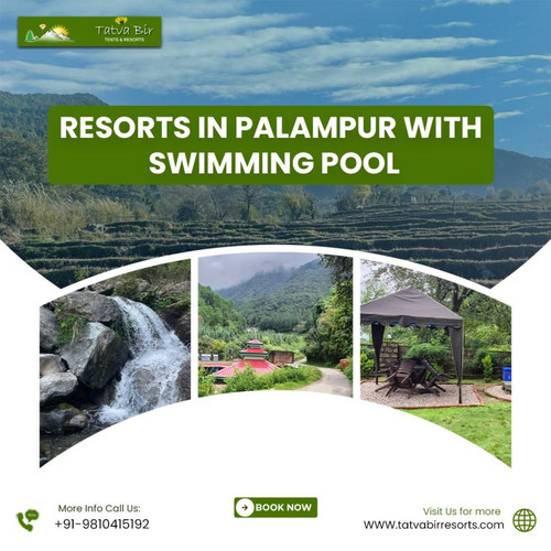 Resorts In Palampur With Swimming Pool.jpg