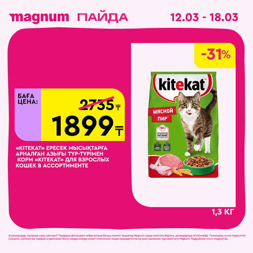 Magnum 1440x1440 1 tov (24).png