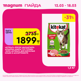 Magnum 1440x1440 1 tov (24)