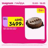 Magnum 1440x1440 1 tov (37)