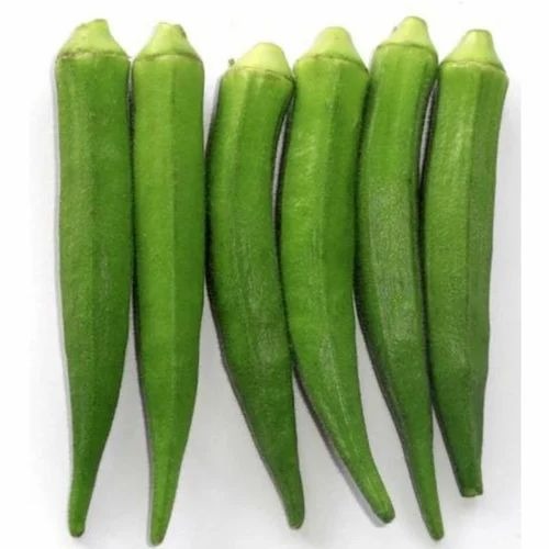 bhindi okra seeds 500x500.jpg