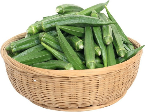 80 80 green okra 524 klarkee ori.jpg
