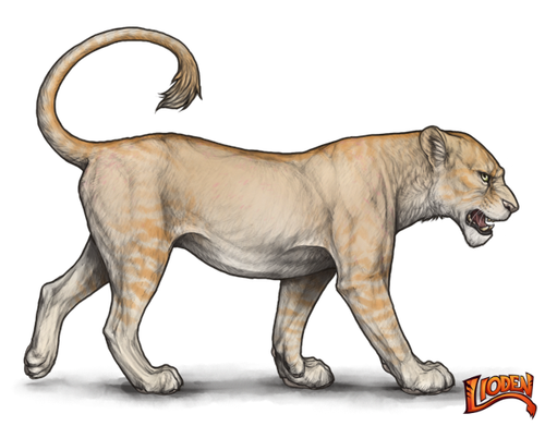 lioden wardrobe (13).png