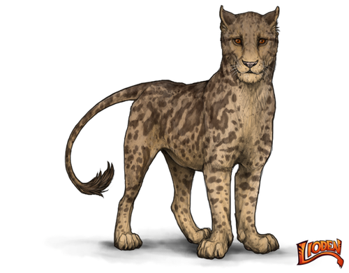 lioden wardrobe (12).png