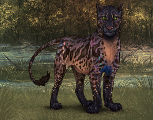 lioden wardrobe 2026 03 11T104541.588.png