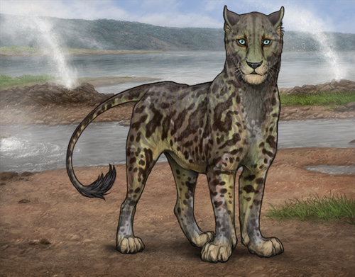 lioden wardrobe 2026 03 11T104821.455.png