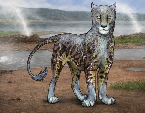 lioden wardrobe 2026 03 11T104840.432.png