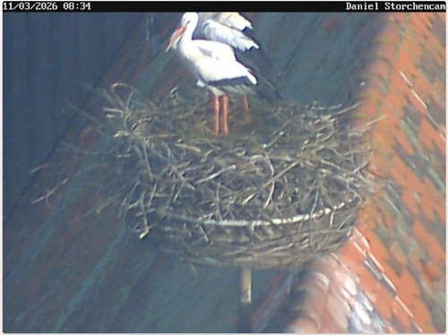 MWSnap037.jpg