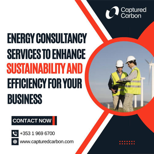 Energy Consultancy Services to Enhance Sustainability and Efficiency for Your Business.jpg