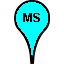 MS.png