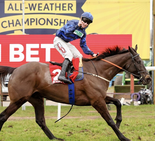Trusted Coverage And Updates On Mysore’s Horse Race Events.png
