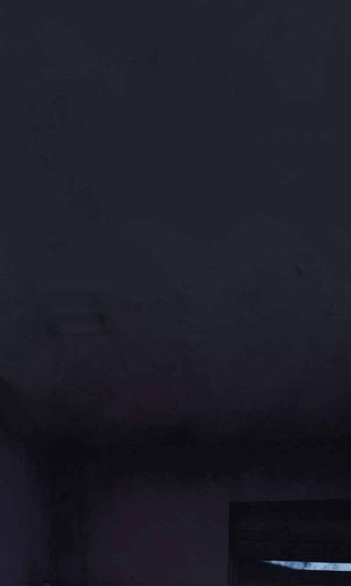 IMG 20260322 065008 329.jpg