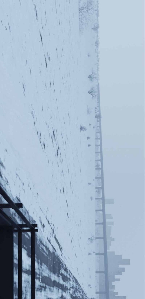 IMG 20260322 064706 391.jpg