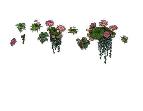 flowering pink male.png