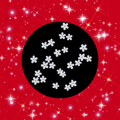 Picsart 26 03 22 17 17 30 659.jpg