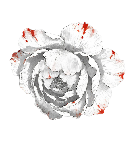 IMG 20260322 175246.png
