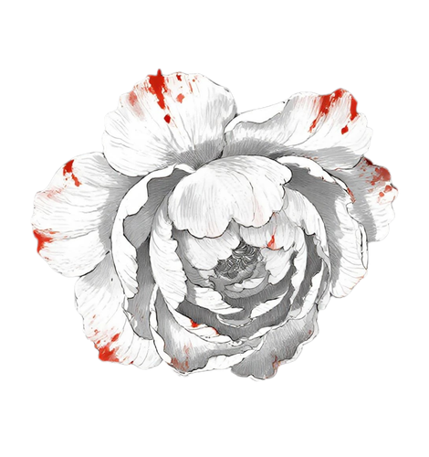 IMG 20260322 180152.png